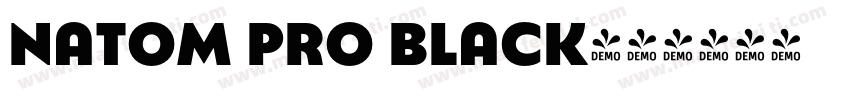 Natom Pro Black字体转换
